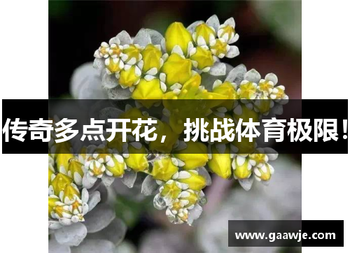 传奇多点开花，挑战体育极限！